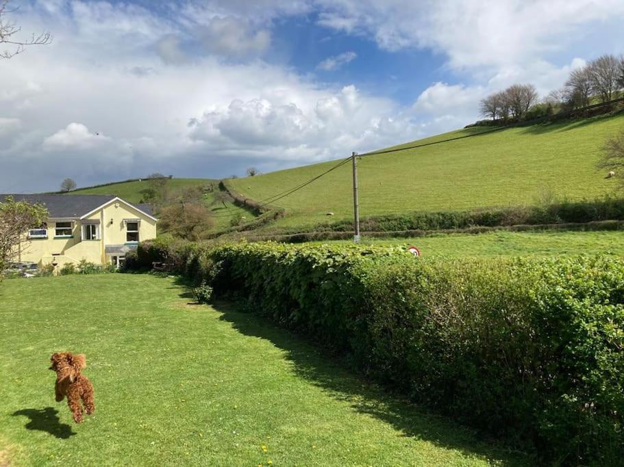 Charming Countryside Cottage Ground Floor Apartment In Combeinteignhead Devon Bishopsteignton Exterior photo
